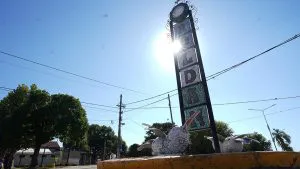DSC03832-300x169