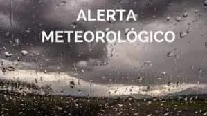 FB_IMG_1730731994059