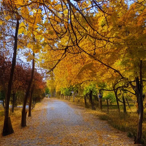 tinywow_56432738_4RLFTNhfAdhCMJO2 (1)