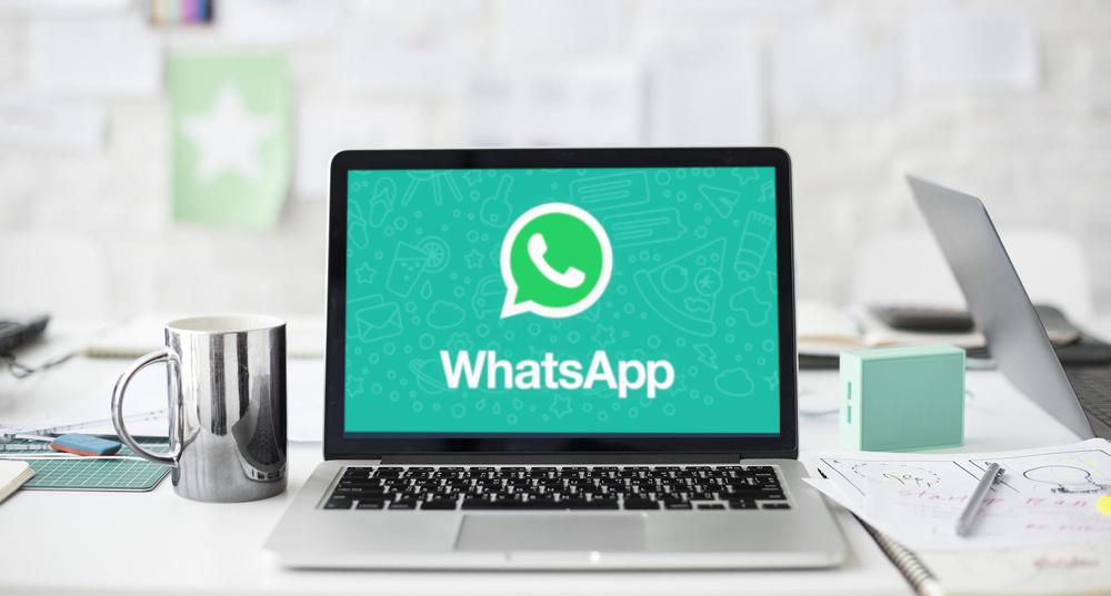 whatsapp web_0