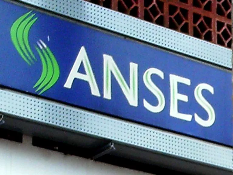 anses1-768x576