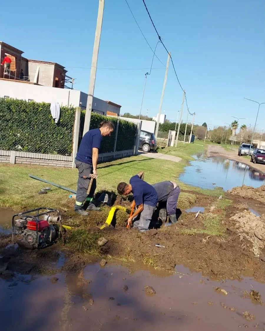 00135fee-062d-4aea-852e-b6dad7c5ada7