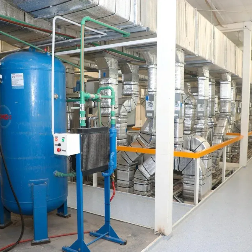 IMG_20240406_112515_489