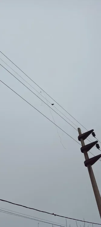 20250508_102647
