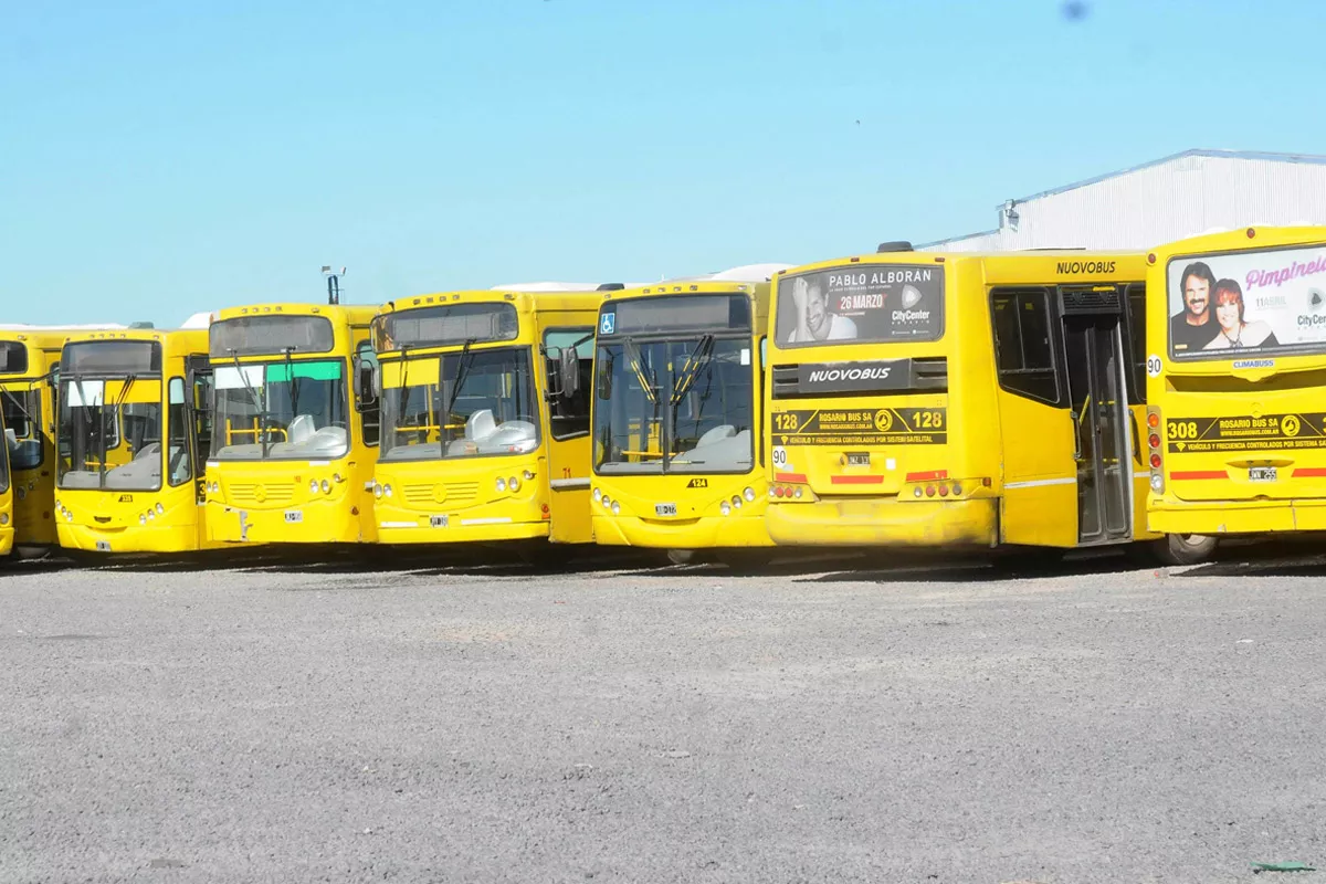 rosario-bus