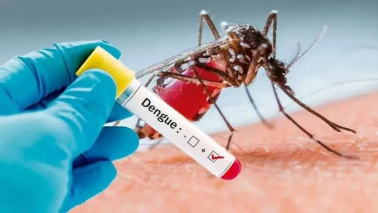 dengue-768x432