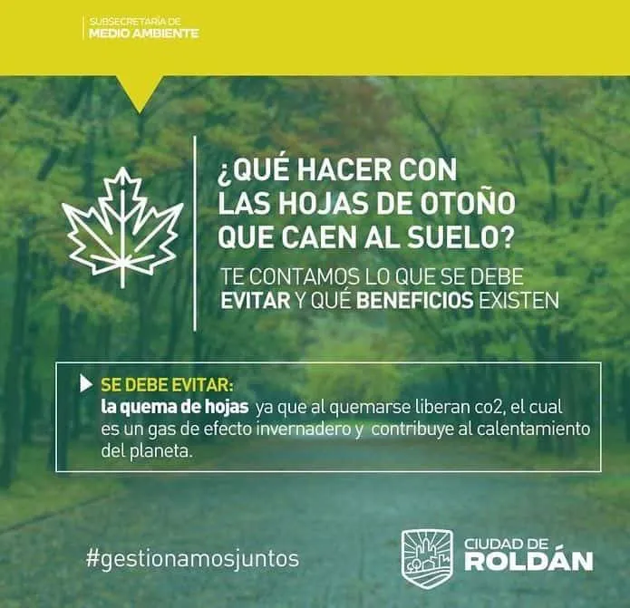 7e2d354e-f2a6-41b2-bab3-254300d62166