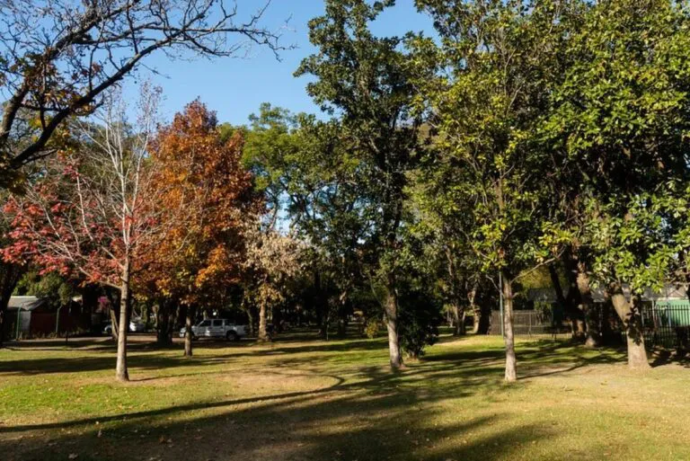 clima-rosario-parque-independenc-768x513