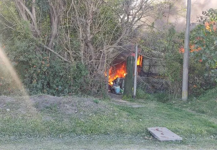 1165ba2b-4fc4-46af-8a80-88ca815c1f3f (1)