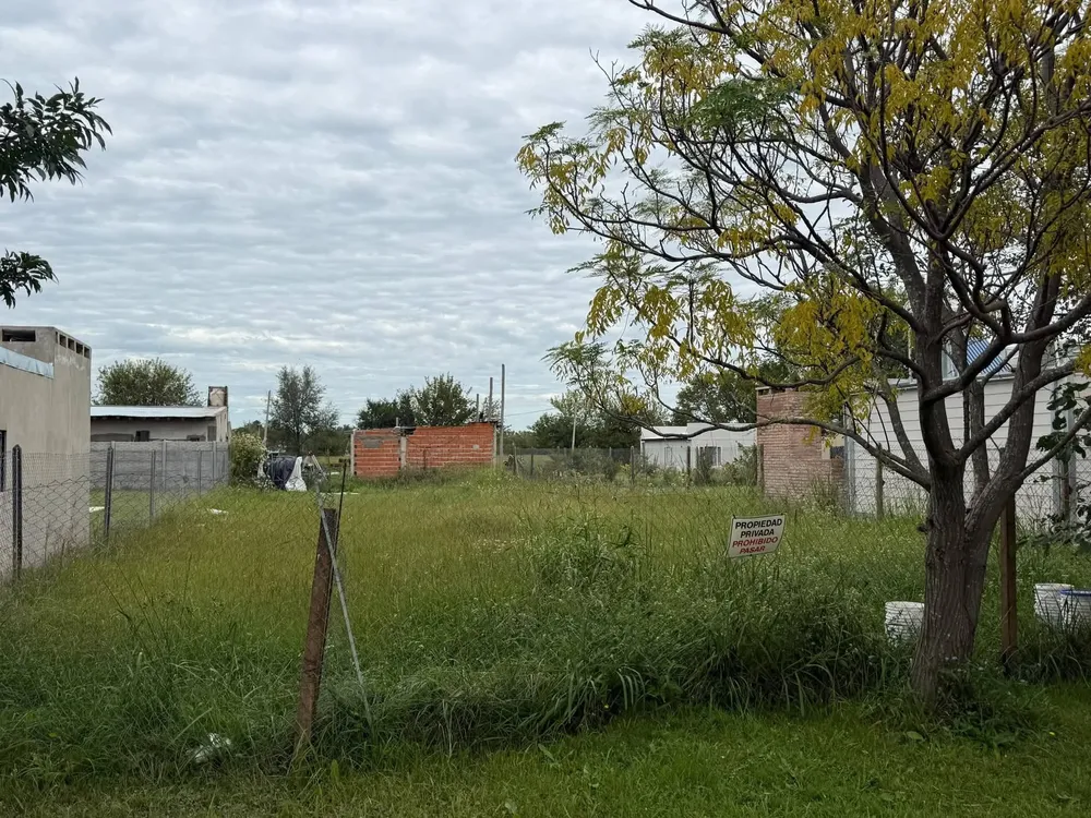 FB_IMG_1775077104863