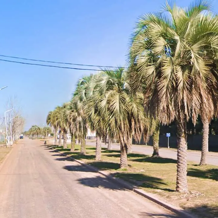 FB_IMG_1715131685977