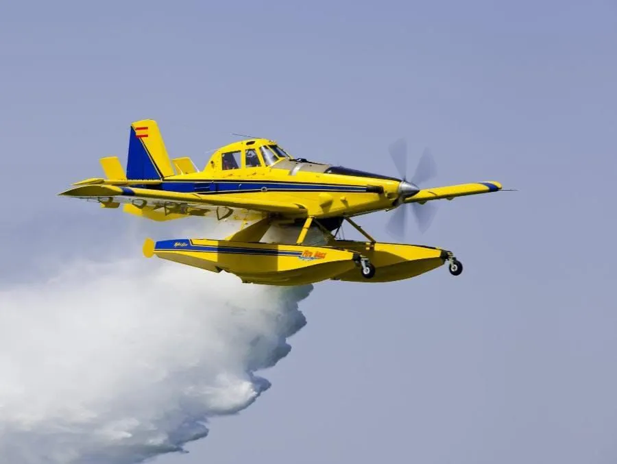 IMG-20251009-WA0002